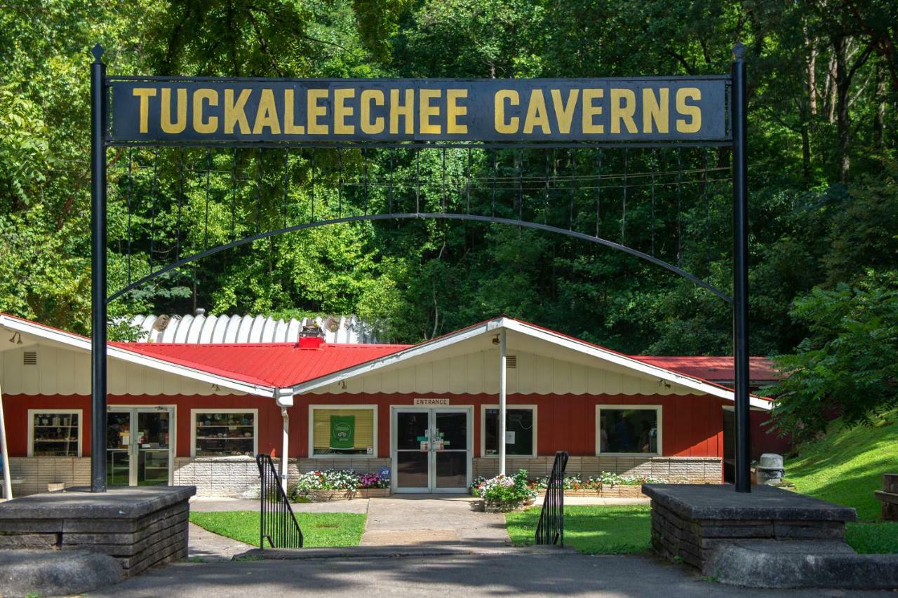 Twin Cub Lodge Tuckaleechee 外观 照片